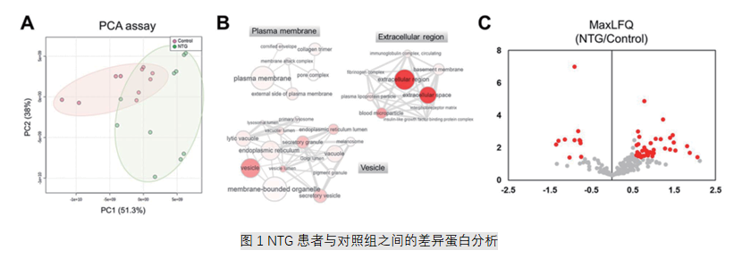图1 NTG患者与对照组之间的差异蛋白分析
