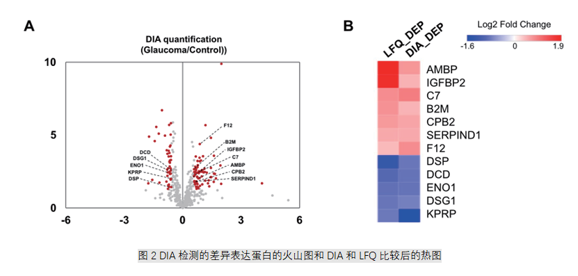 图2 DIA检测的差异表达蛋白的火山图和DIA和LFQ比较后的热图