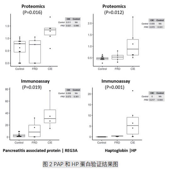 图2 PAP和HP蛋白验证结果图