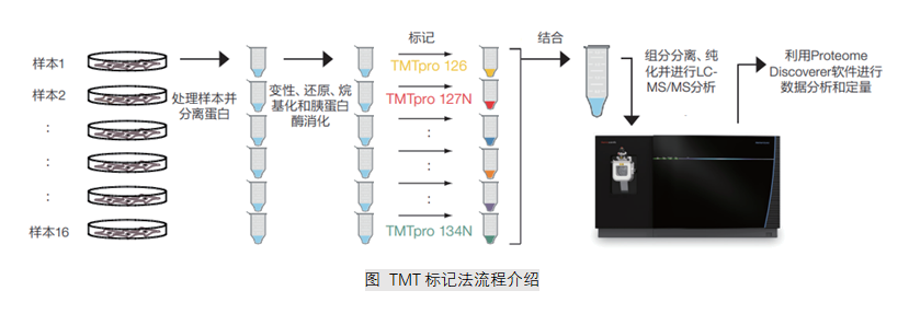 图 TMT标记法流程介绍