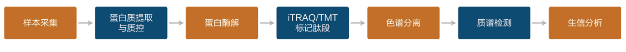 iTRAQ-TMT标记定量蛋白组分析-实验流程